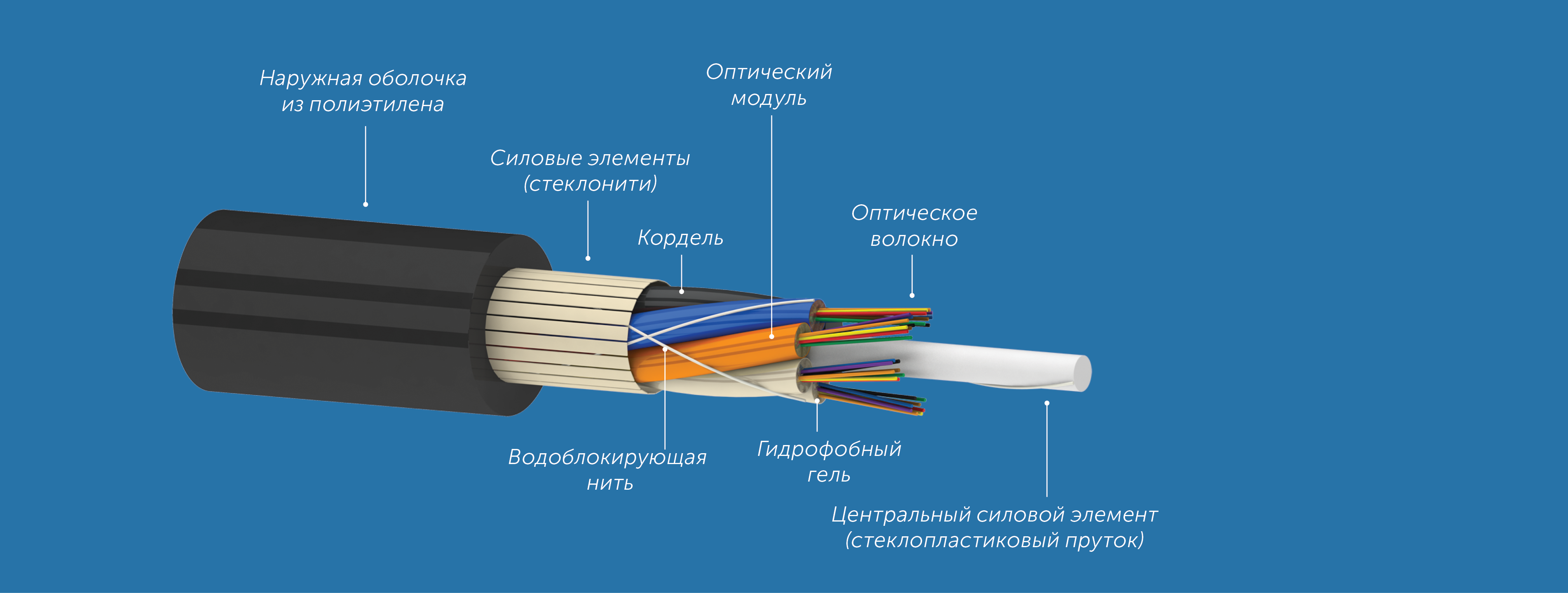 b0a565bbd2e311e980bd000c29d70fd6_c50203a43c1311ec80dd000c29d70fd6